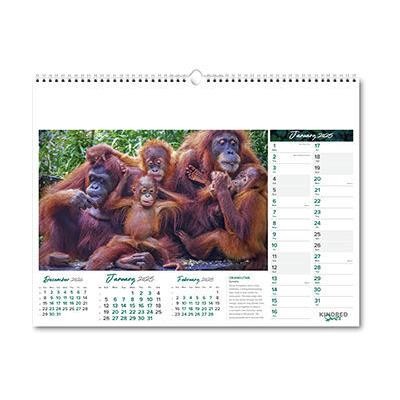 Picture of KINDRED SPIRITS WALL CALENDAR