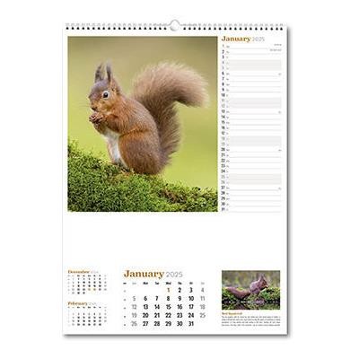 Picture of WILDLIFE OF BRITAIN WALL CALENDAR