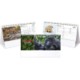 Picture of KINDRED SPIRITS DESK CALENDAR