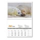 Picture of WILDLIFE IN BRITAIN CENTRAL SPIRAL WALL CALENDAR