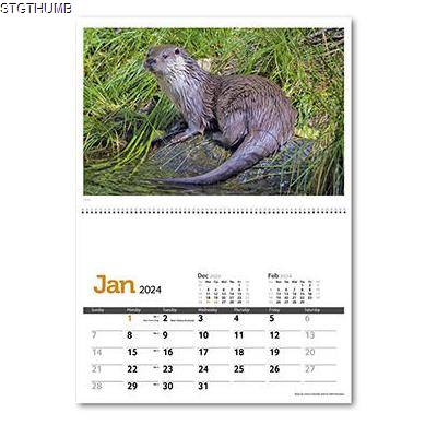 Picture of WILDLIFE in Britain Central Spiral Wall Calendar