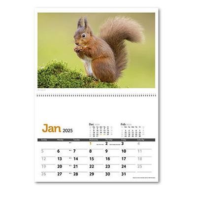 Picture of WILDLIFE in Britain Central Spiral Wall Calendar