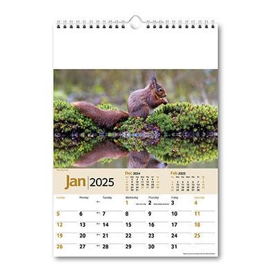 Picture of WILDLIFE MEMO WALL CALENDAR.