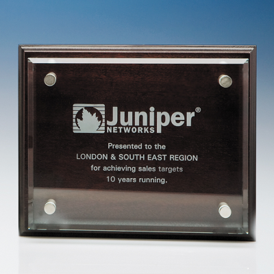 Picture of CLEAR TRANSPARENT GLASS RECTANGULAR MOUNTED ON MAHOGANY PLAQUE.