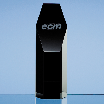 Picture of 19CM ONYX BLACK OPTICAL CRYSTAL HEXAGON AWARD.