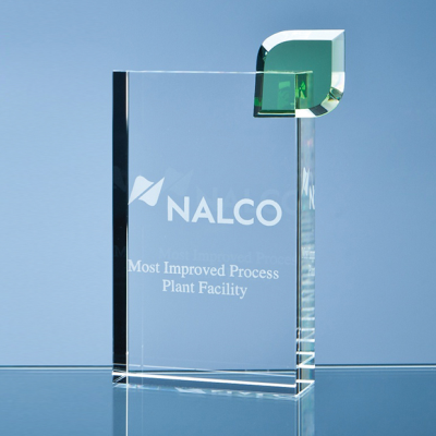 Picture of 17CM OPTICAL CRYSTAL ECO EXCELLENCE AWARD with a Single Green Leaf