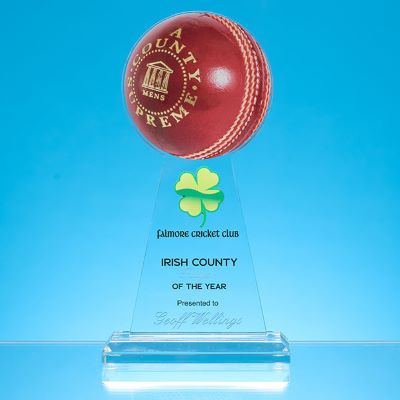 Picture of 18CM x 10CM DIA BALL AWARD - PRINTED with Ball Only