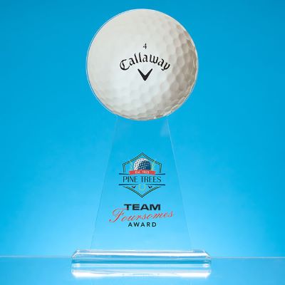 Picture of 28CM x 15CM DIA BALL AWARD - PRINTED with Ball Only