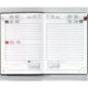 Picture of POCKET DIARY