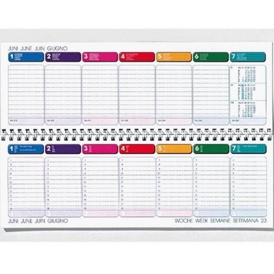 Picture of DATALINE DESK PLANNING DIARY