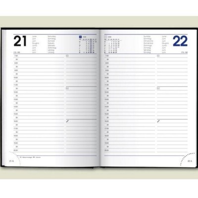 Picture of A5 DESK DIARY.