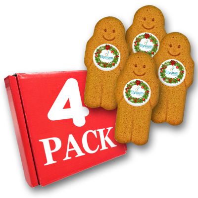 Picture of 12 PACK GINGER MAN