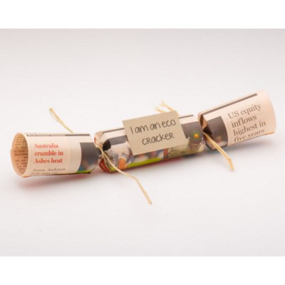 Picture of ECO CHRISTMAS CRACKER.