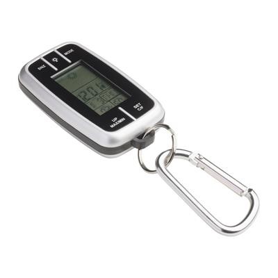 Picture of GERALDON WEATHER STATION with Torch