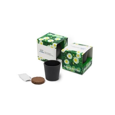 Picture of CERAMIC POTTERY GROW KIT