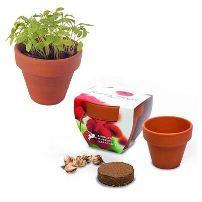 Picture of 5CM TERRACOTTA POT