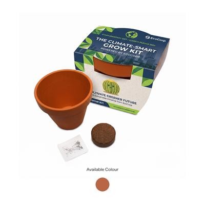Picture of 7CM TERRACOTTA POT