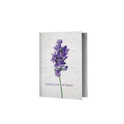 Picture of SEEDS PAPER GREETING CARD A5 SIZE.