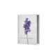 Picture of SEEDS PAPER GREETING CARD A6 SIZE