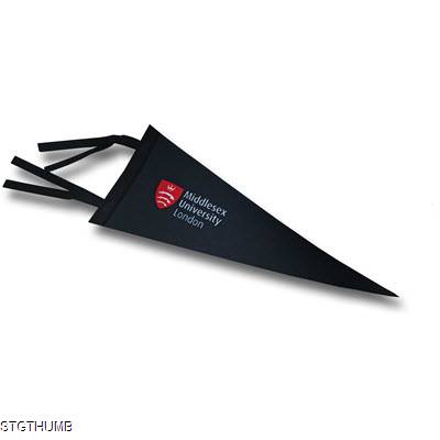 Picture of UNIVERSITY PENNANT