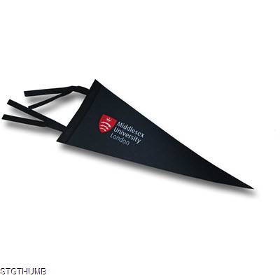 Picture of UNIVERSITY PENNANT.