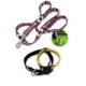 Picture of DOG LEAD OR COLLAR