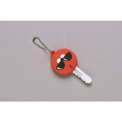 Picture of 2D PVC KEY COVER