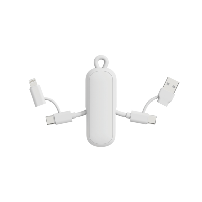 Picture of URBAN VITAMIN DUBLIN 100W 4 -IN-1 KEYRING CHAIN CABLE in White