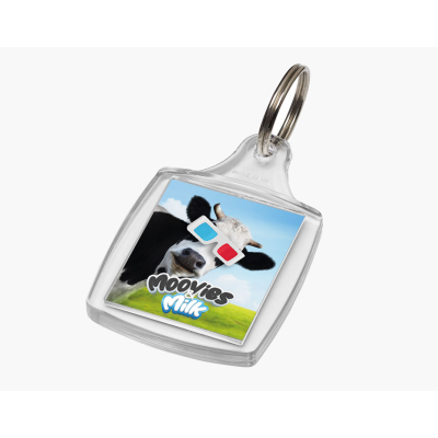 Picture of ACRYLIC INSERT KEYRING (A5).