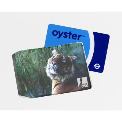 Picture of OYSTER CARD HOLDERS