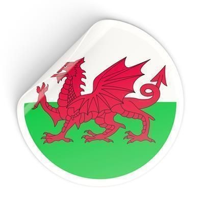 Picture of SELF ADHESIVE WINDOW STICKER