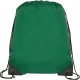 Picture of KINGSGATE ECO RECYCLED DRAWSTRING BAG in Green