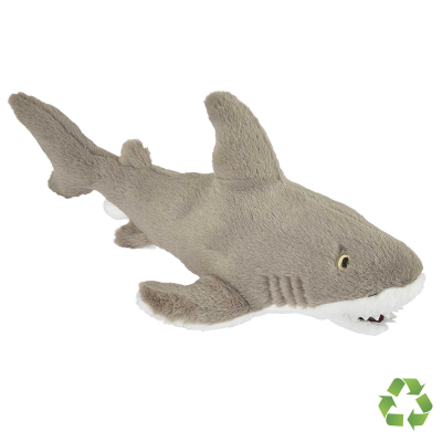 Picture of SHARK.