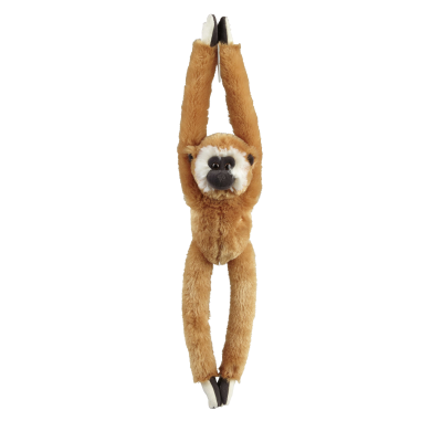 Picture of HANGING GIBBON SOFT TOY.