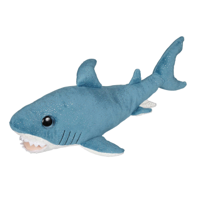 Picture of SHARK.