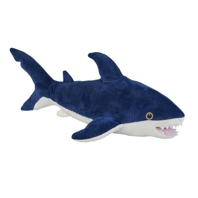 Picture of SHARK