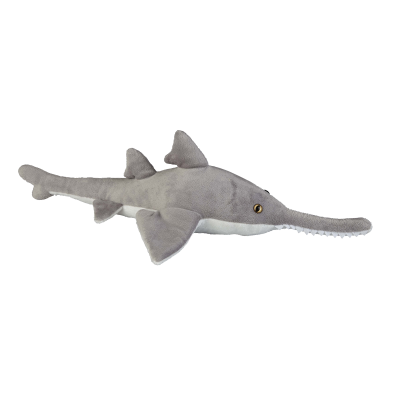 Picture of SAW SHARK.