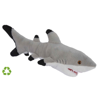 Picture of SHARK