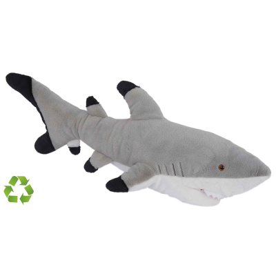 Picture of SHARK