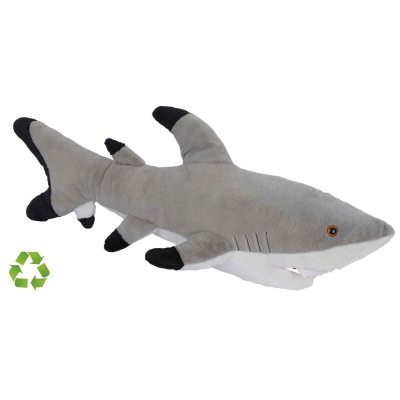 Picture of SHARK.