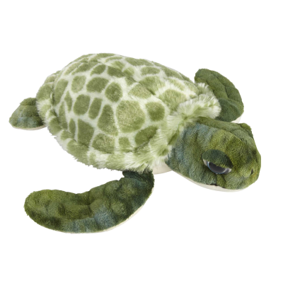 Picture of TURTLE