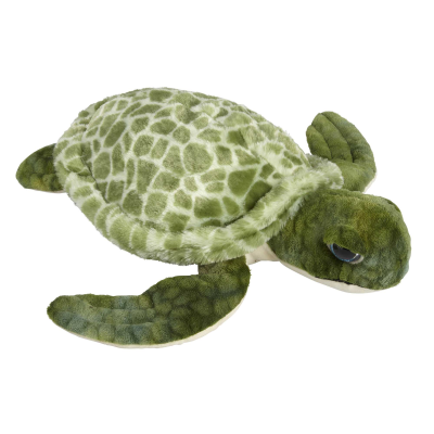 Picture of TURTLE.