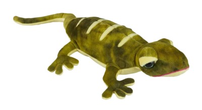 lizard toy online