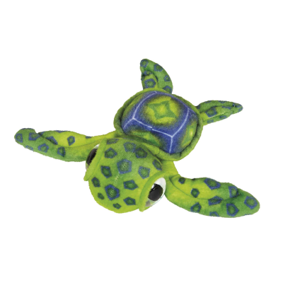 Picture of TURTLE