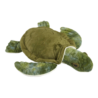 Picture of GREEN TURTLE.