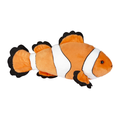 Picture of CLOWN FISH.