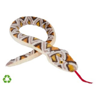 Picture of PYTHON.