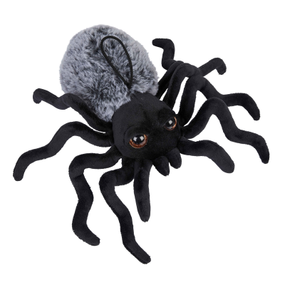 Picture of SPIDER SOFT TOY.