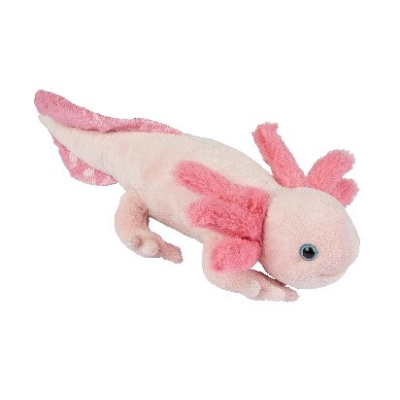 Picture of AXOLOTL.