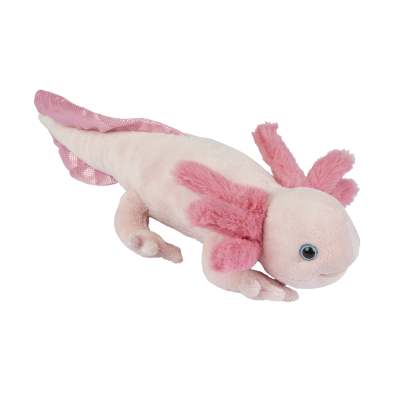 Picture of AXOLOTL.